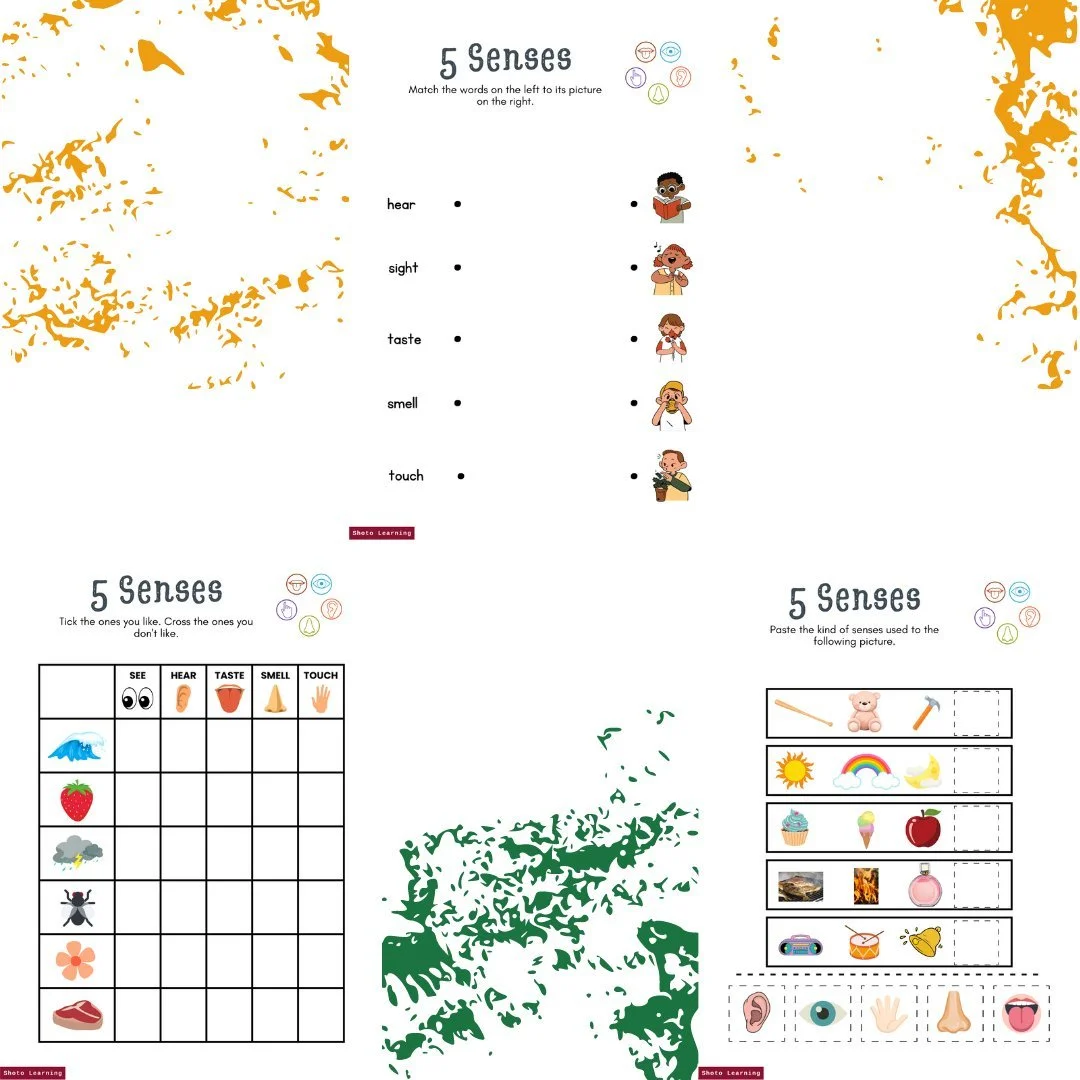 Five Senses Word Search Puzzle - Fun Science Activity for Kids